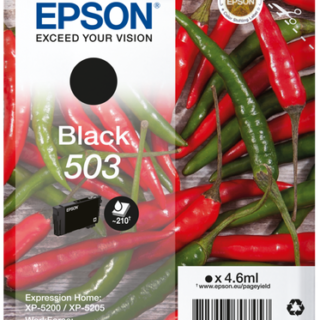 Cartuccia Originale EPSON 503BK Nero C13T09Q14010